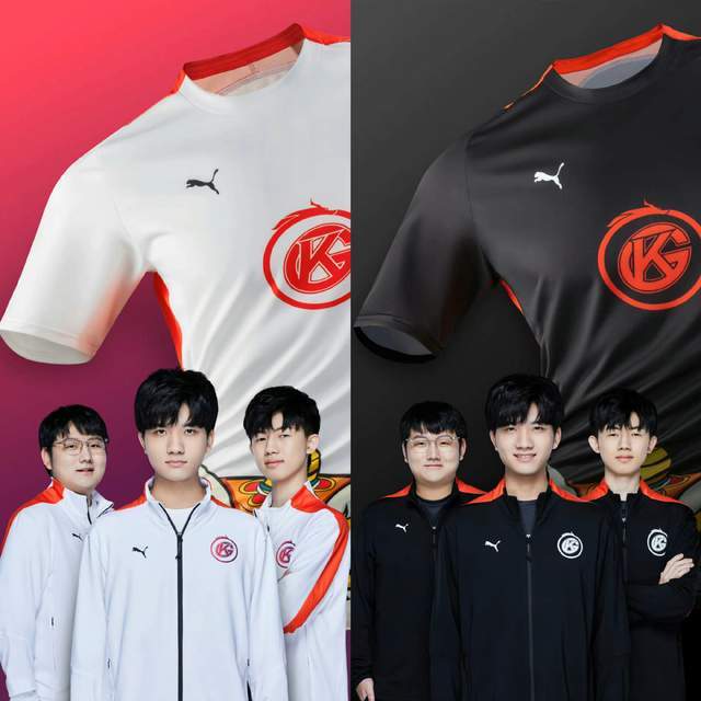 具有重要的 具有重要的